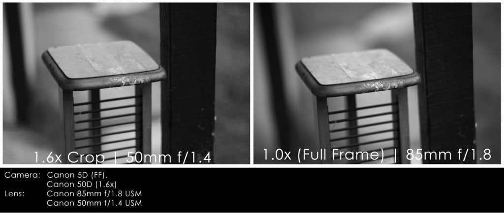 Comparaison 50mm/APS vs. 85mm/Plein format
